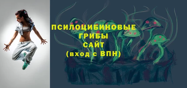 шишки Нефтегорск