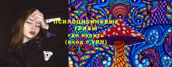 шишки Нефтегорск
