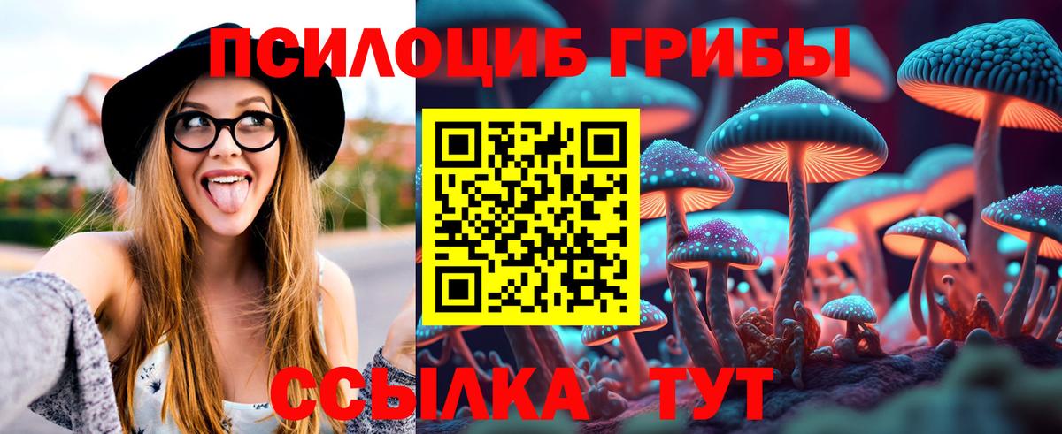 Псилоцибиновые грибы мицелий  Псилоцибиновые грибы ЛСД  Вход с VPN  Ялта 